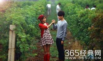 缘来幸福土豆在线观看,浪漫邂逅，甜蜜生活全景展现