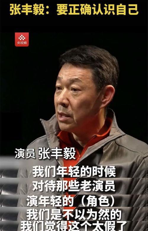 淮阴侯张丰毅在线观看,在线重温千古英雄传奇