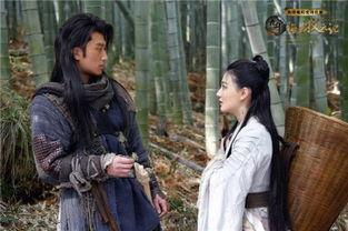 伺候者2在线观看,在线观看，揭秘黑暗世界的续集篇章