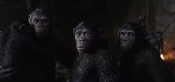 人猿崛起3在线观看,进化新纪元在线观影指南