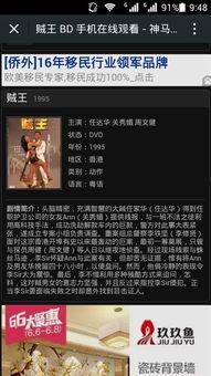 贼王1995在线观看,巅峰对决，盗亦有道