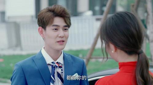 国民老公全集在线观看,霸道总裁的甜蜜宠爱全集在线观看攻略