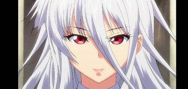 少女骑士纯白在线观看,追寻梦想的奇幻之旅