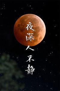 夜深人不静在线观看,揭秘深夜网络世界的秘密