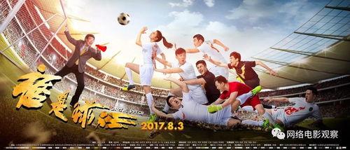 谁是球王电影在线观看,揭秘足球传奇，重温经典瞬间