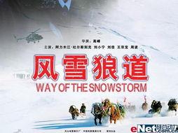 风雪狼道在线全集观看,在线全集观看，探寻绝境求生传奇