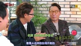 键盘上的鬣狗在线观看,揭秘网络世界中的神秘生物