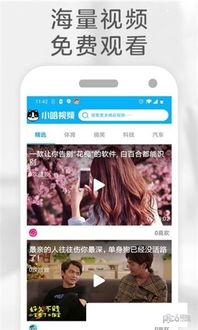精彩小视频在线观看,在线观看精彩瞬间回顾