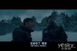 看大片儿视频在线观看,看大片儿视频在线观看，尽享电影魅力