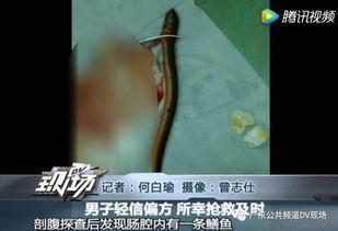 黄鳝们视频在线观看,在线观看，畅享视觉盛宴